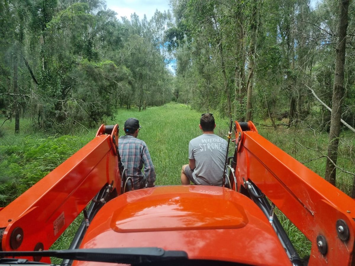 Riding out on the tractor through the bush track