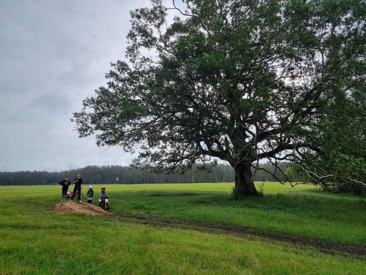 Group under the old tree on a rainy day